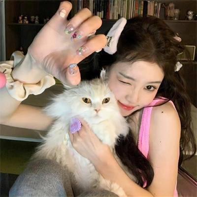 最爱喵星人:我猫威武